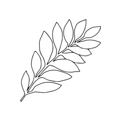 Vector Illustration of a black tropical palm leaf isolated on a white background