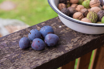 Five black plums and a bowl of walnuts on the terrace railing