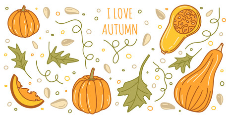 Pumpkins autumn set with leaves and seeds in color isolated on a white background for thanksgiving cards, t-shirt design, coloring page. Vector illustration