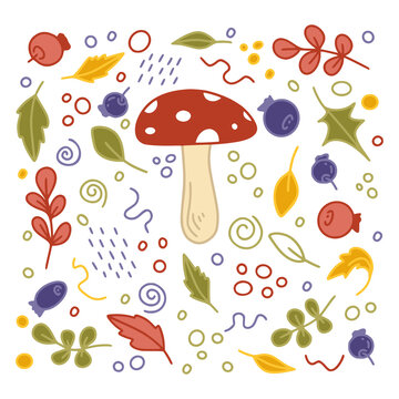 Fly agaric mushroom set with berries and leaves in color isolated on a white background for autumn or thanksgiving cards, t-shirt design, coloring page. Vector illustration