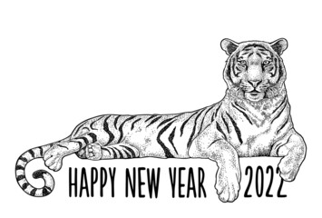 Lying tiger. Vintage black engraving illustration for poster. Isolated on white