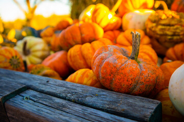 pumpkins on a wooden table