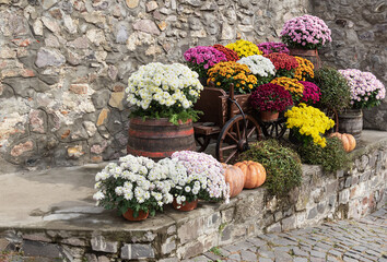 street decor of chrysanthemums, pumpkins and an old wooden cart with barrels. Decor concept made from natural materials