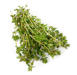 Bunch thyme with flowers. Fresh spicy herb. Gardening farming, isolated on white background.
