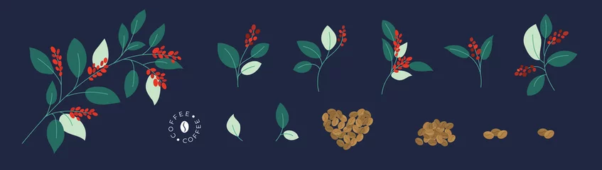 Foto op Canvas Set of vector branches of coffee tree or plant with leaves and ripe red berries. Roasted coffee beans. Isolated illustration for logo, poster, menu. Specialty cafe, packaging design elements, print © OlgaStrelnikova