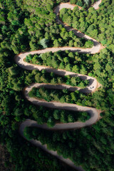 View from above, stunning aerial view of a serpentine road surrounded by green pine trees. Mount...