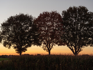 Sonnenuntergang im westlichen Münsterland
