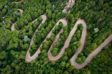 View from above, stunning aerial view of a serpentine road surrounded by green pine trees. Mount Limbara (Monte Limbara) Sardinia, Italy.