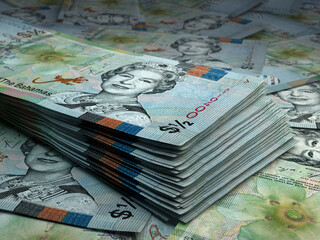 Bahamas money. Bahamas dollar banknotes. 05 BSD dollars bills.