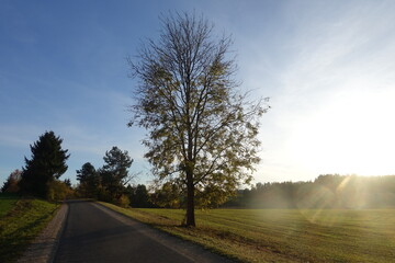 Schöne Landschaft in Donau-Ries, Bayern