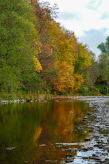 Autumn panorama, autumn over the river, golden autumn in the forest, the sky in white clouds 