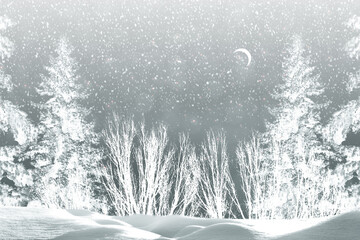  Frozen winter forest with snow covered trees.