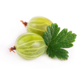 organic food, healthy food, green gooseberry fruits with leaf on white