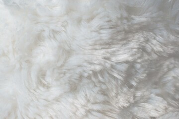 white fur background close-up beautiful abstract texture