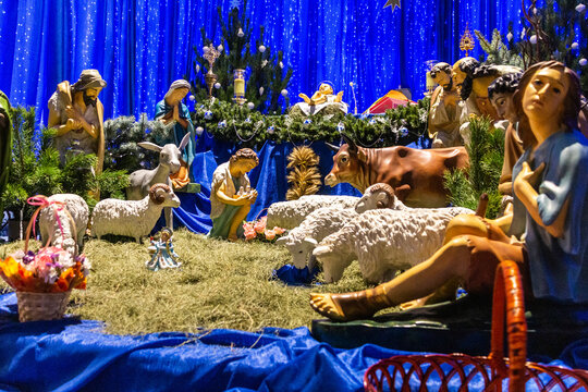 Christmas nativity scene with the image of the Holy Child, the Blessed Virgin Mary, St. Joseph, the Magi, sheep, a bull and a donkey in a Catholic church. Nativity.