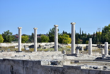 Fototapeta premium archeological site in Pella in Greece