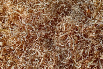Close up of wood shavings