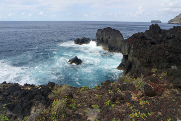 rough wild nord coast of sao miguel