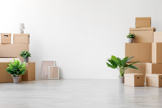 Stacks of different cardboard boxes with belongings and green plants in pots on floor on white wall background