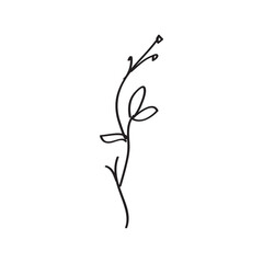 Sketch a leaf branch by hand on an isolated background.