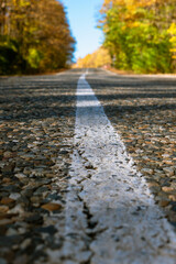 A crack in the asphalt on a white strip of road markings. Close-up. In the background blurred yellow-green trees and blue sky. Bottom foreshortening.