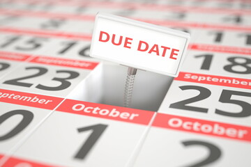 DUE DATE sign on September 24 in a calendar, 3d rendering