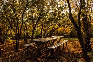 Autumn glade with a seating area , with a table and benches