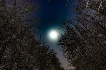 Full moon and starry sky in the night snowy forest.