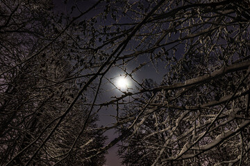 Full moon and starry sky in the night snowy forest.