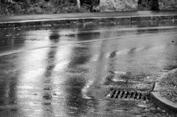 Metal storm drain during a rain event with leaves and needles starting to buildup around the edges