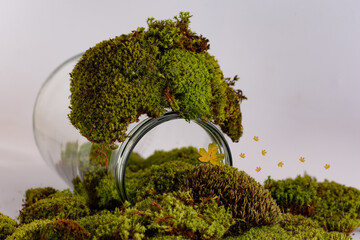 Garden scene in the terrarium in a glass bottle with dry leaves and moss. Ecosystem concept. 