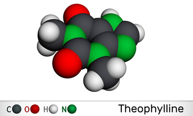 Theophylline or 1,3-dimethylxanthine molecule. It is dimethylxanthine, xanthine derivative. Vasodilator, bronchodilator, asthmatic, antiinflammatory drug. Molecular model. 3D rendering