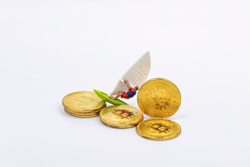 Toy wind surfer caught a wave of success against the background of the growth of the Bitcoin rate