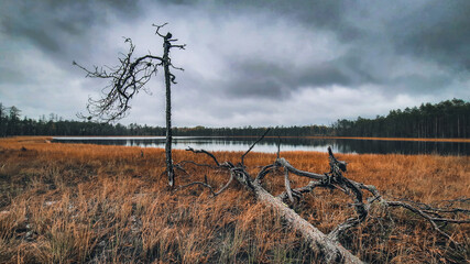 Obraz premium The autumn wild lake