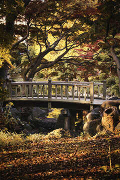 Vertical shot of an autumn landscape with a small birdge and trees