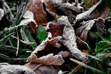 Givre