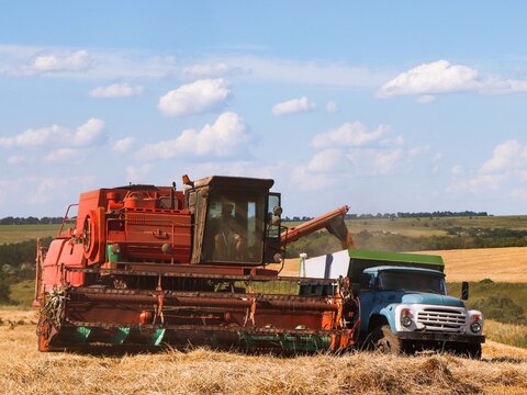 Combine harvester unloads grain into a dump truck in a wheat field.