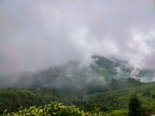 green mountain valley filled with heavy cloud at morning