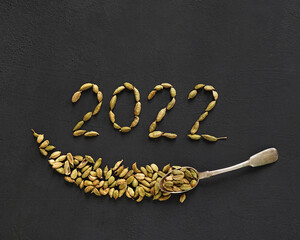 Healthy Food concept Aroma Spice dried Cardamoms in the form of 2022 new year and a spoon on black slate background with copy for text