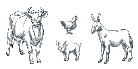 Farm cattle animals set, vector sketch illustration. Livestock hand drawn design elements. Cow, donkey, pig, hen icons
