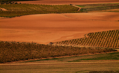 Aerial view of landscape of vineyard fields in Castilla La Mancha, Spain