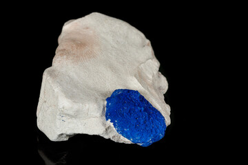 Macro mineral stone Azurite in siltstone against black background