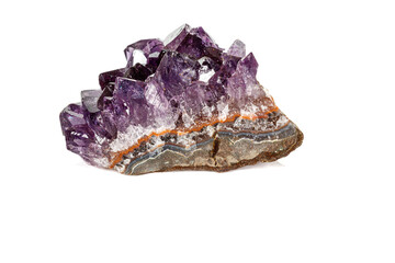 Amethyst Crystal Druse  macro mineral on white background