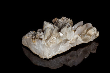 Macro mineral stone Snow quartz with calcite on a black background