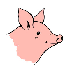 Pig head on a white background. Farming and pets. Food and meat. Vector cartoon illustration outline hand drawn