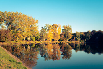 A row of colorful trees reflecting in the water at the Malomvölgyi-tó in fall, Pécs, Hungary