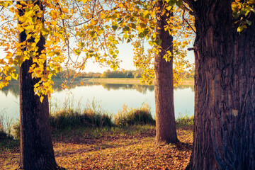 A peaceful view at the Malomvölgyi-tó in fall, Pécs, Hungary