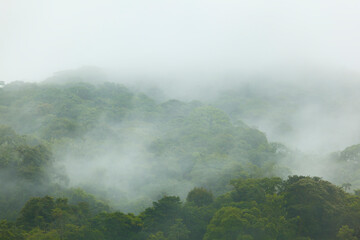 Cloudy forest, La Fortuna, Costa Rica