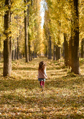 The girl runs through the autumn forest.