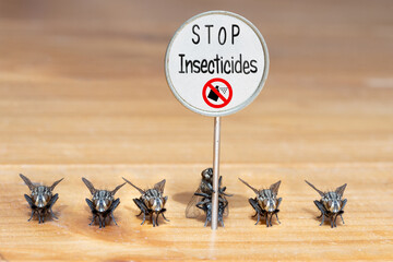 The flies stands in line with an board with a text Stop insecticides.